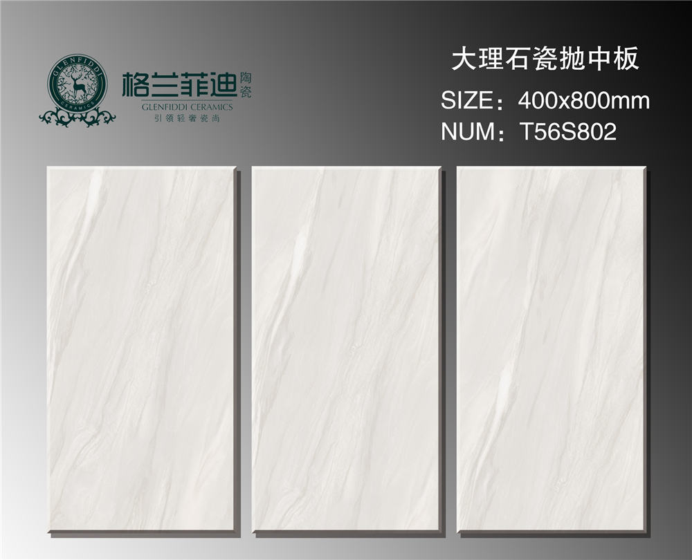 T56S802