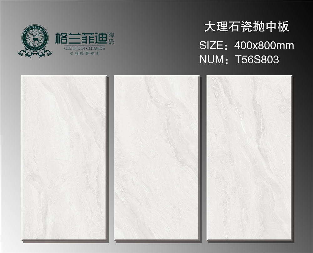 T56S803