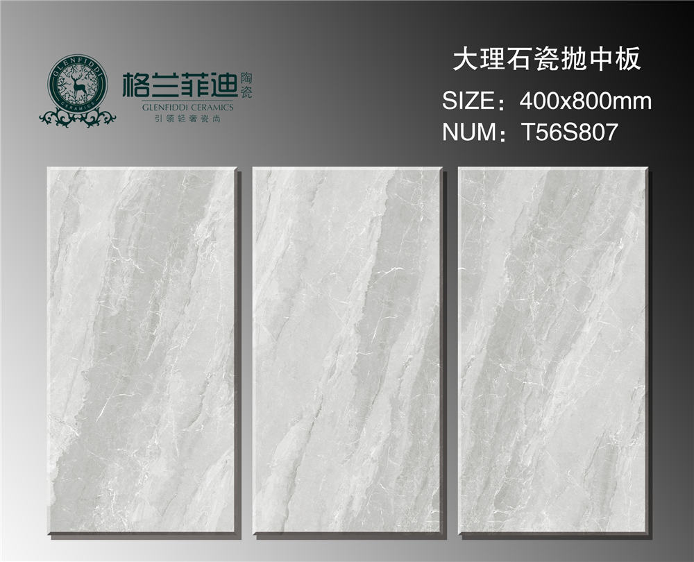 T56S807