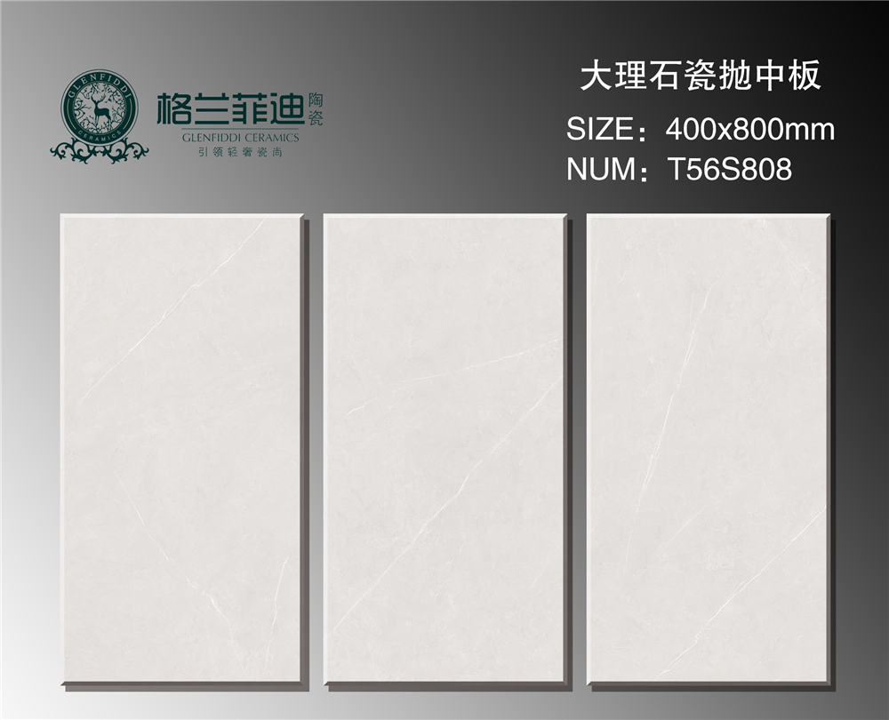 T56S808