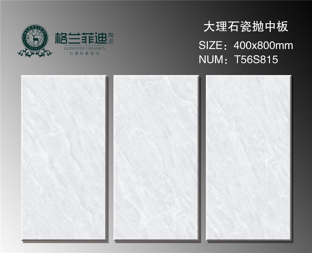 T56S815