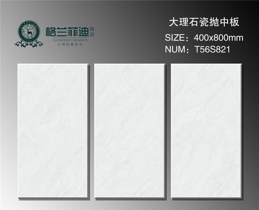 T56S821