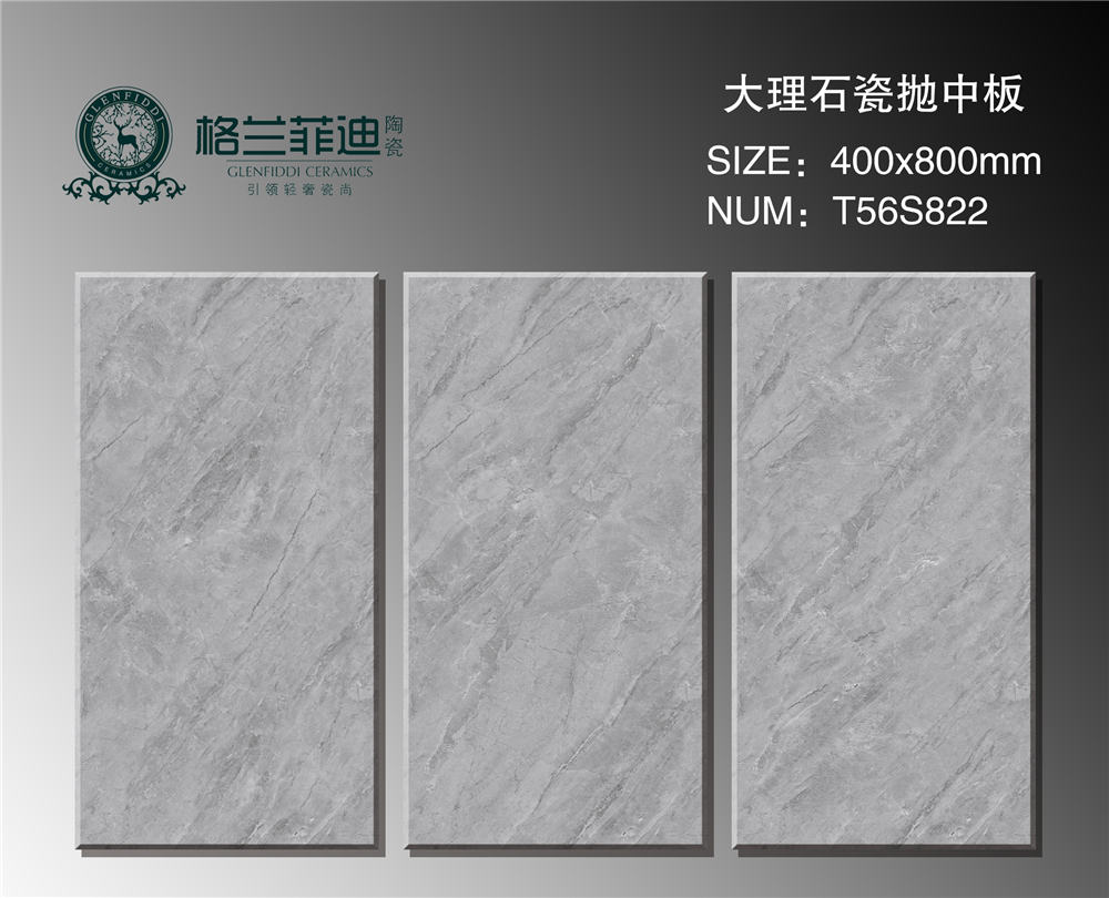 T56S822