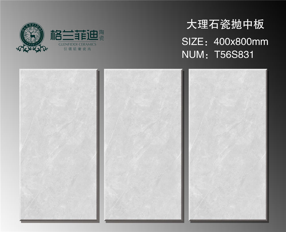 T56S831