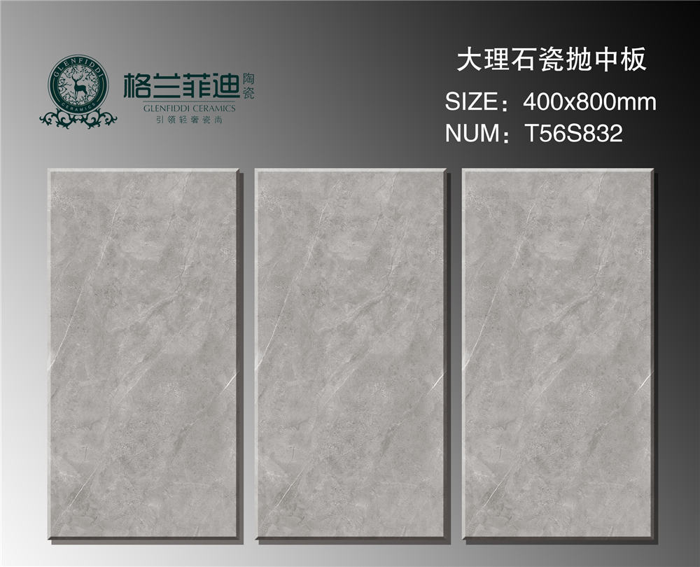 T56S832